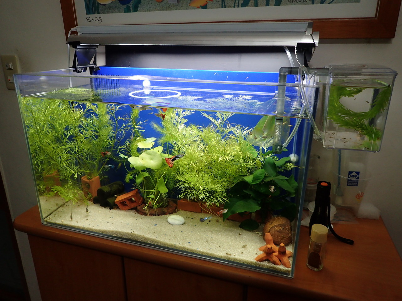 17 歲末雜記 黑暗執行緒